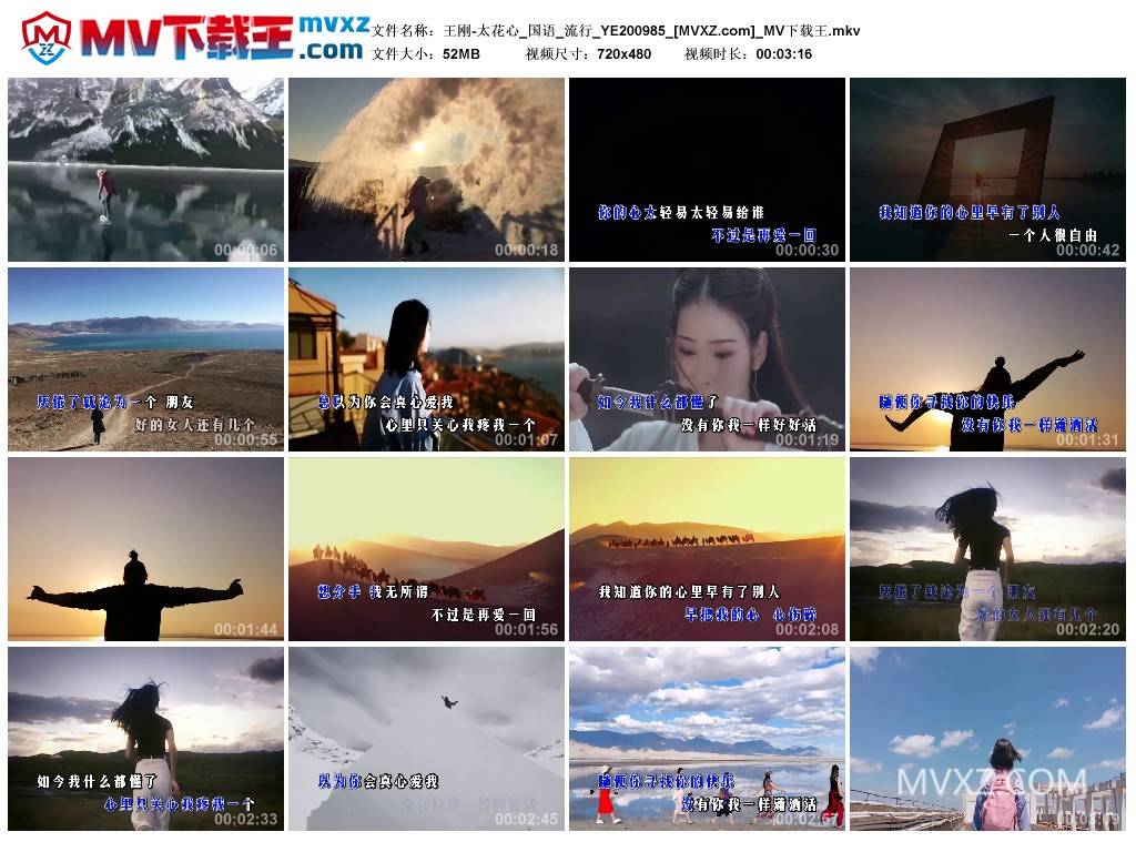 王刚-太花心_国语_流行_YE200985